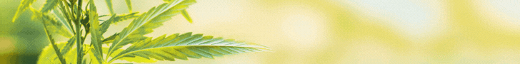 Paybiotic